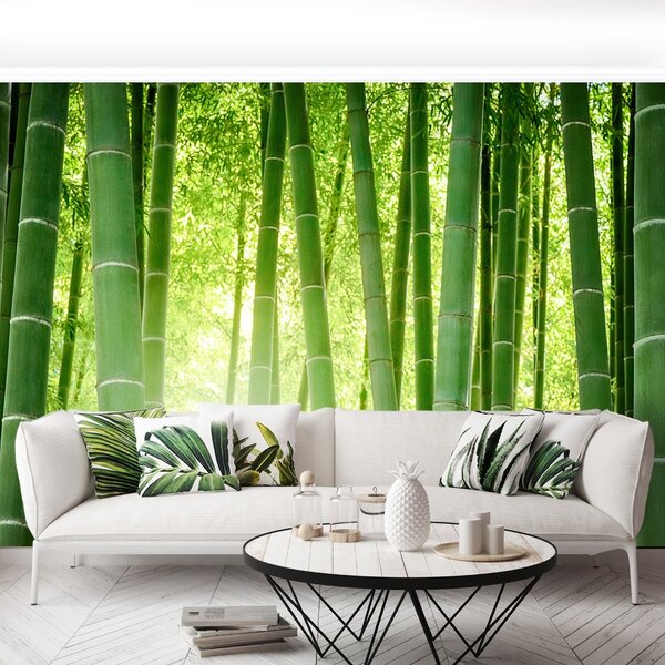 Carta da parati Foresta di bamboo 104x70 cm