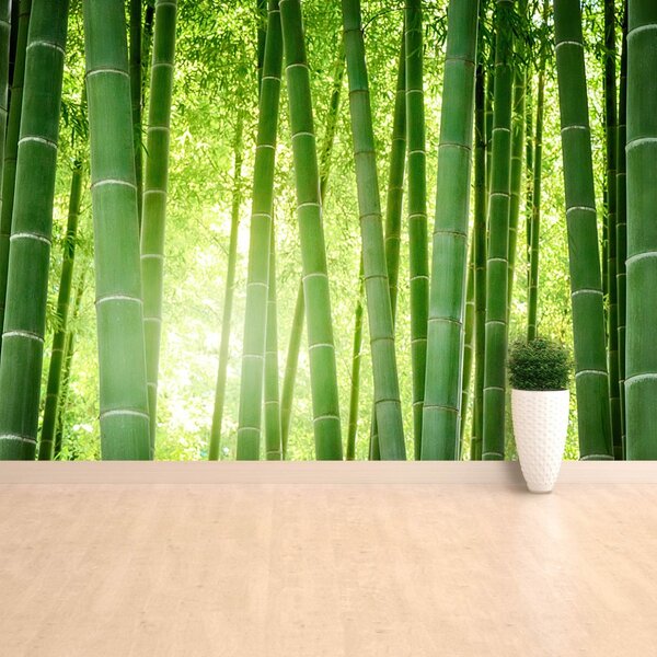 Carta da parati Foresta di bamboo 104x70 cm