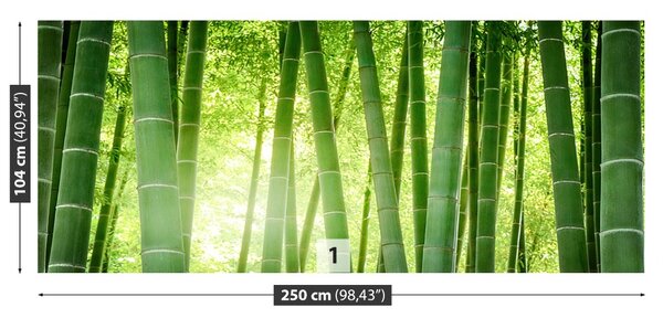 Carta da parati Foresta di bamboo 104x70 cm