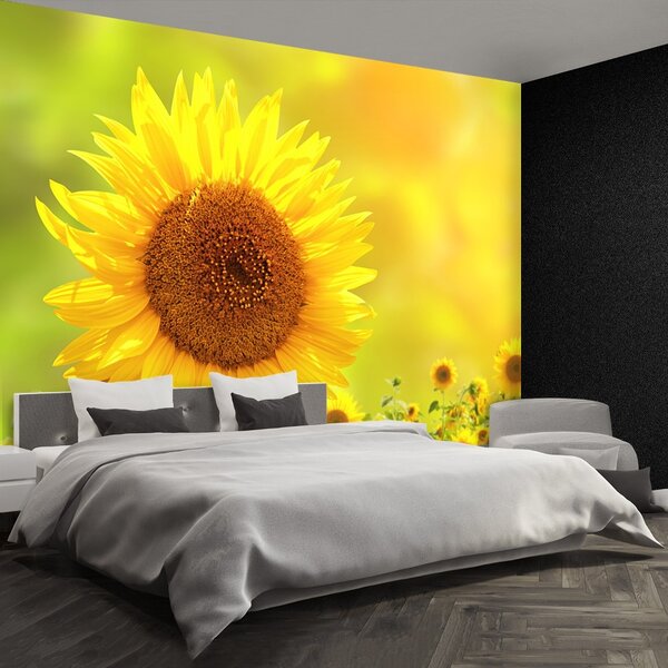 Carta da parati Girasoli gialli 104x70 cm