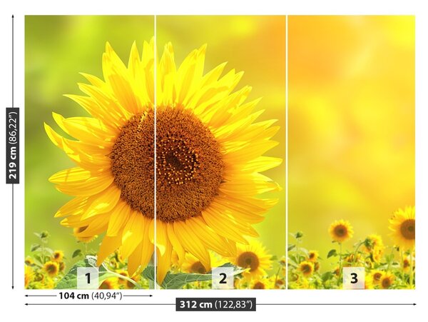 Carta da parati Girasoli gialli 104x70 cm