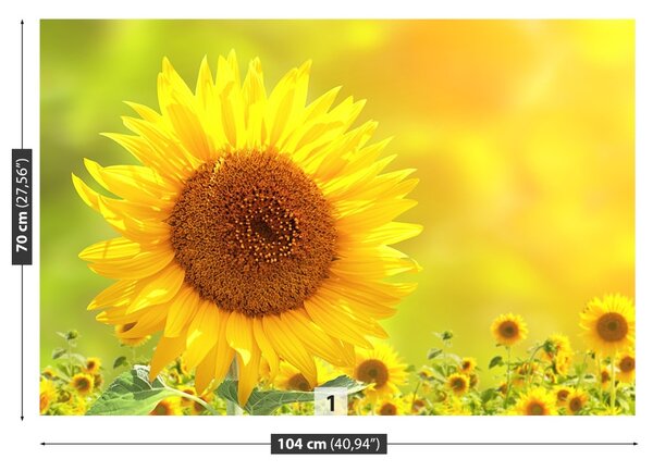 Carta da parati Girasoli gialli 104x70 cm