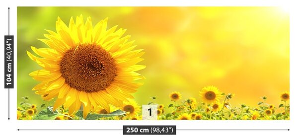 Carta da parati Girasoli gialli 104x70 cm