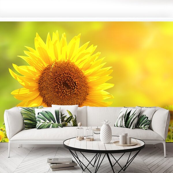 Carta da parati Girasoli gialli 104x70 cm