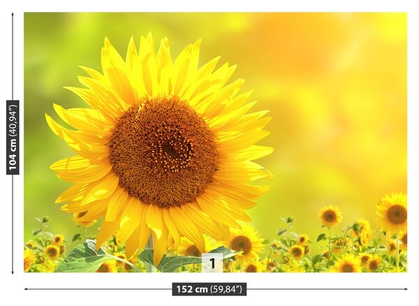 Carta da parati Girasoli gialli 104x70 cm