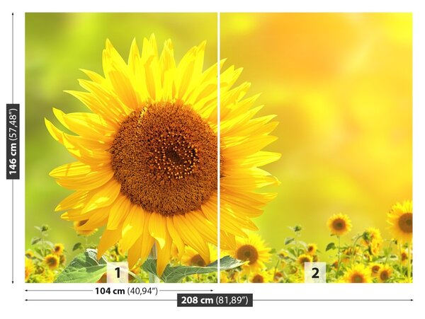 Carta da parati Girasoli gialli 104x70 cm