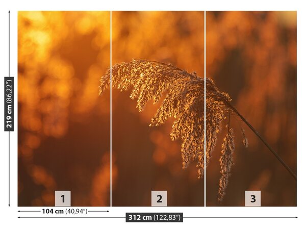 Carta da parati Reed arancione 104x70 cm