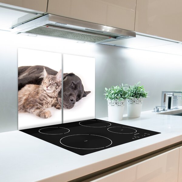 Tagliere in vetro temperato Cane con un gatto 60x52 cm