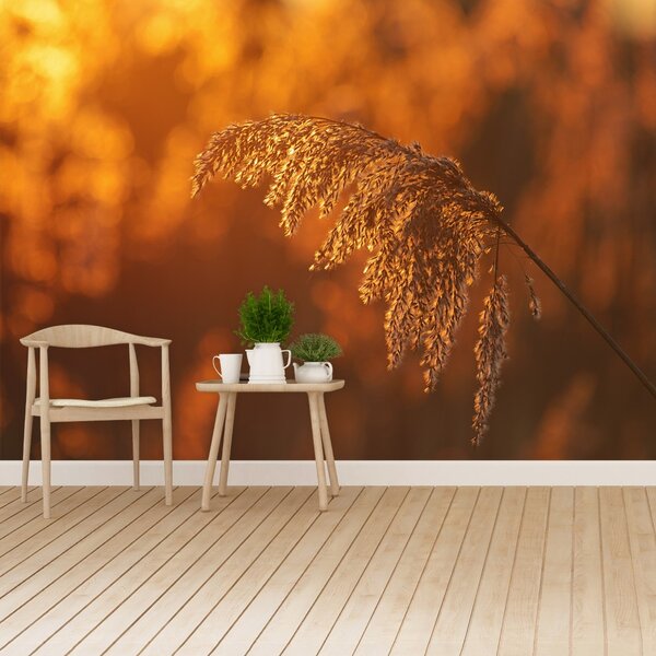 Carta da parati Reed arancione 104x70 cm