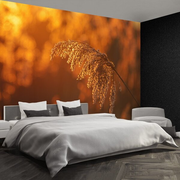 Carta da parati Reed arancione 104x70 cm
