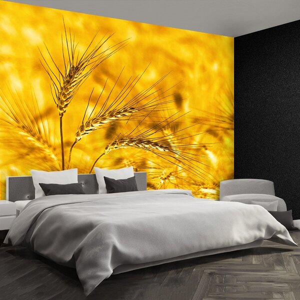 Carta da parati Campo di grano 104x70 cm