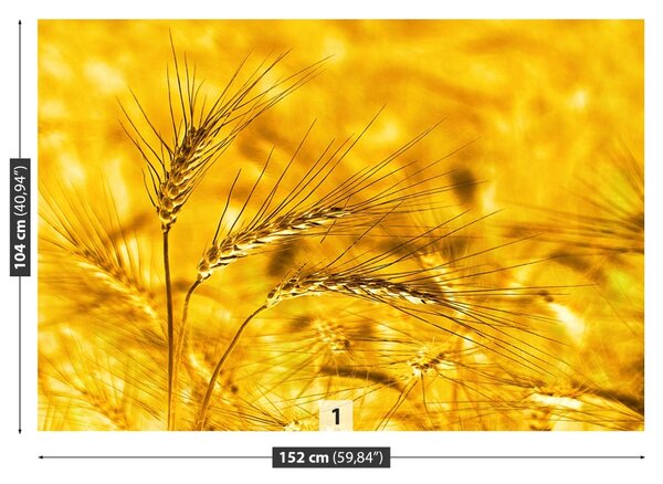 Carta da parati Campo di grano 104x70 cm