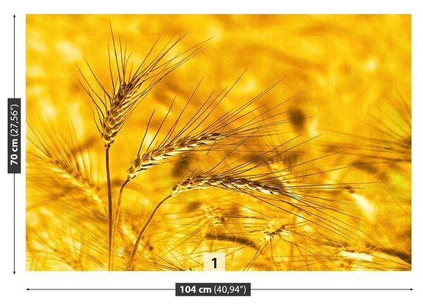 Carta da parati Campo di grano 104x70 cm