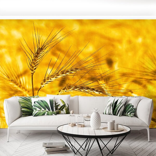 Carta da parati Campo di grano 104x70 cm