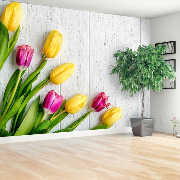 Carta da parati Tulipani gialli 104x70 cm