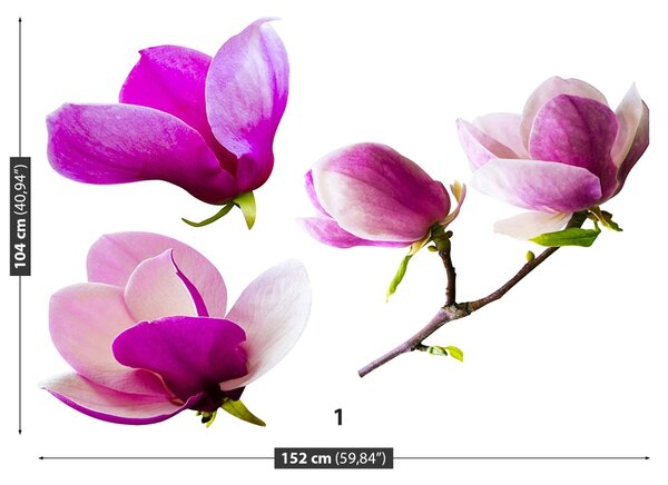 Carta da parati Fiori magnolia 104x70 cm