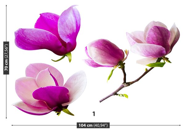Carta da parati Fiori magnolia 104x70 cm