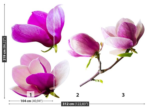 Carta da parati Fiori magnolia 104x70 cm