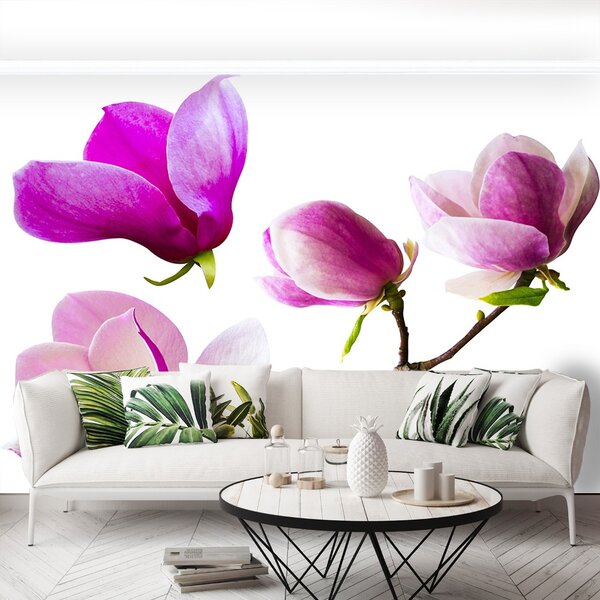Carta da parati Fiori magnolia 104x70 cm