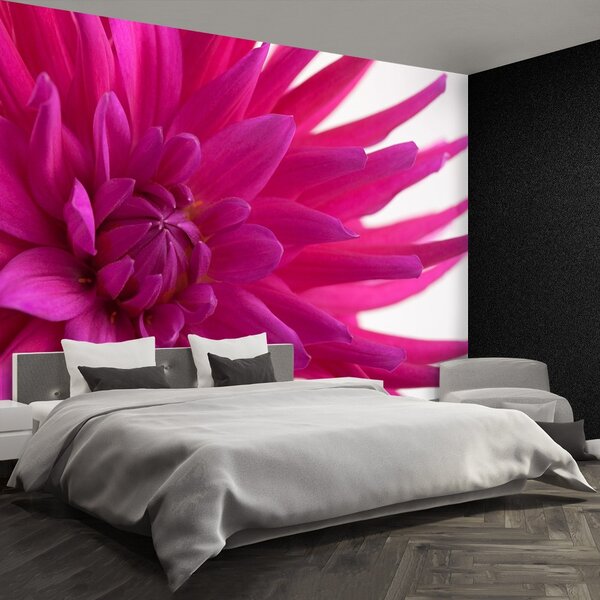 Carta da parati Dalia Pink 104x70 cm