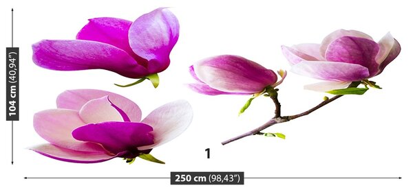 Carta da parati Fiori magnolia 104x70 cm