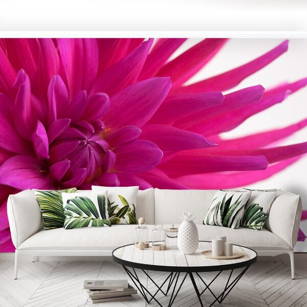 Carta da parati Dalia Pink 104x70 cm