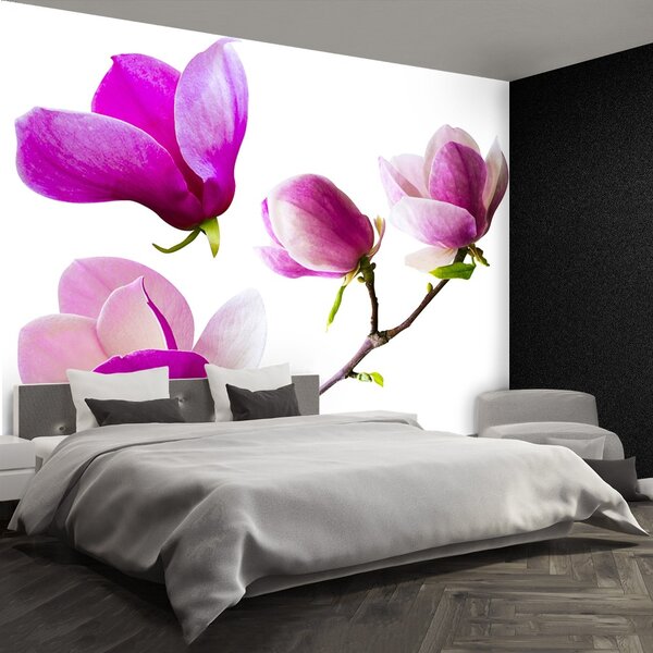 Carta da parati Fiori magnolia 104x70 cm