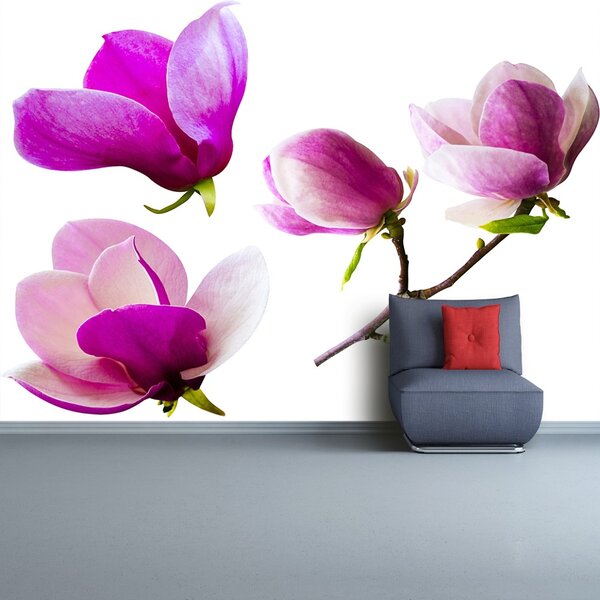 Carta da parati Fiori magnolia 104x70 cm