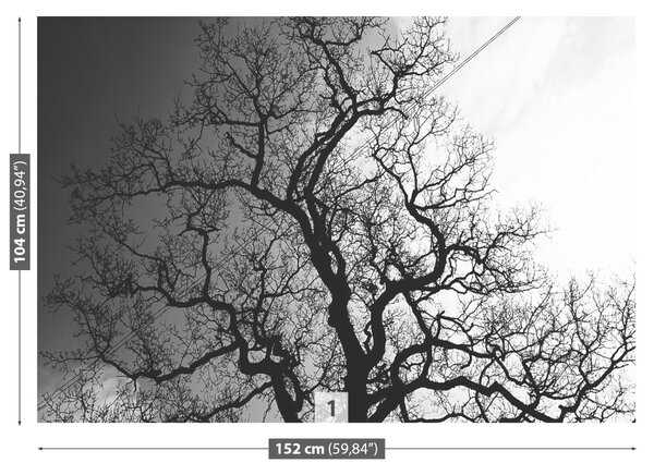 Carta da parati Albero 104x70 cm