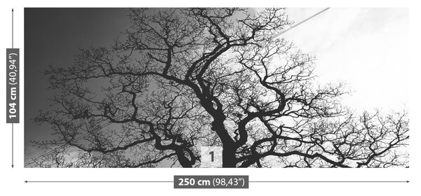 Carta da parati Albero 104x70 cm