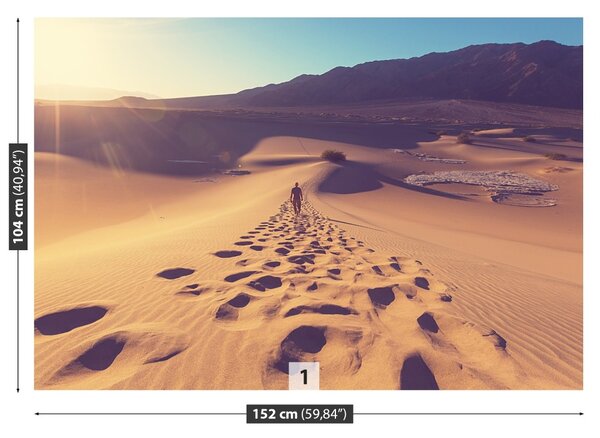 Carta da parati Deserto sabbioso 104x70 cm