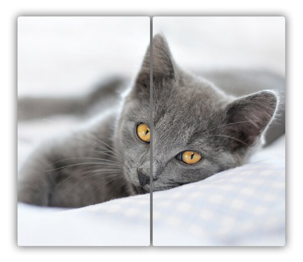 Tagliere in vetro Gatto grigio 60x52 cm
