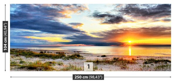 Carta da parati Spiaggia baltica 104x70 cm