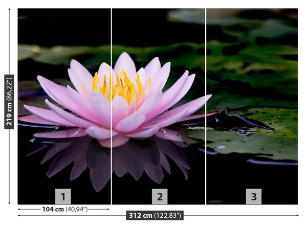 Carta da parati Loto rosa 104x70 cm