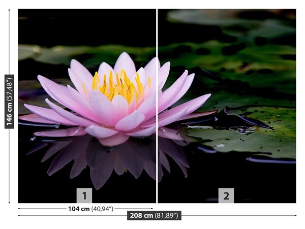 Carta da parati Loto rosa 104x70 cm