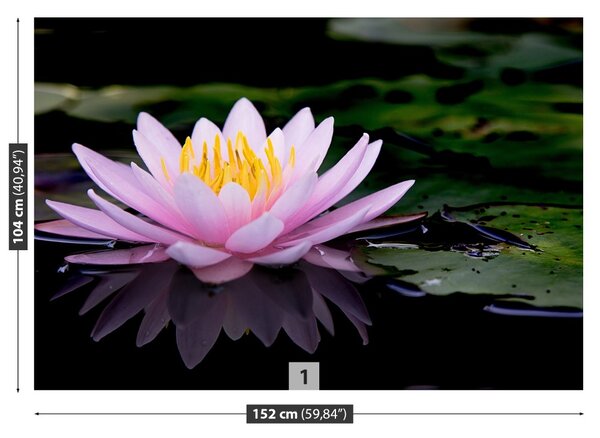 Carta da parati Loto rosa 104x70 cm