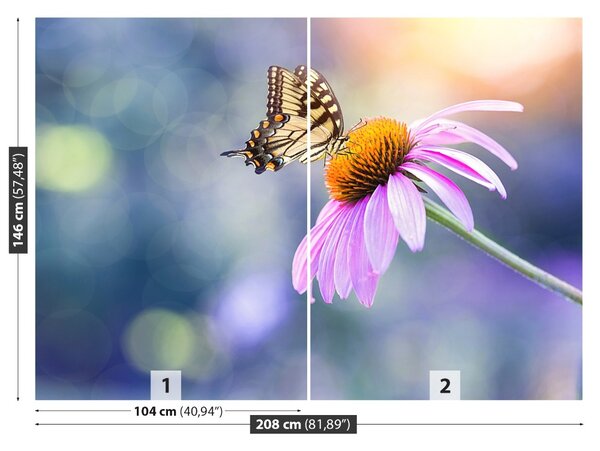Carta da parati Farfalla echinacea 104x70 cm