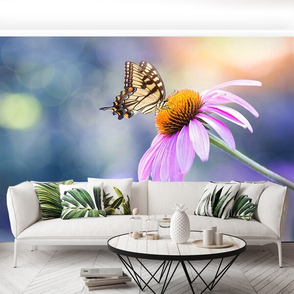 Carta da parati Farfalla echinacea 104x70 cm