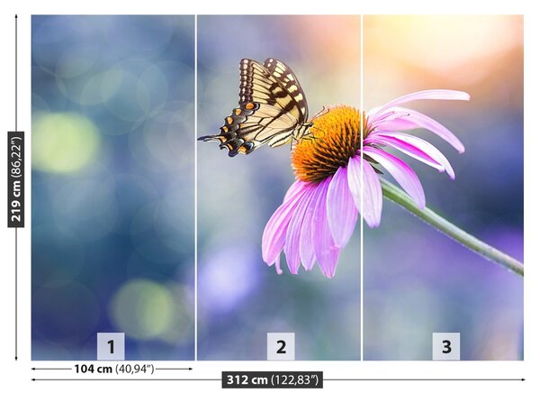 Carta da parati Farfalla echinacea 104x70 cm