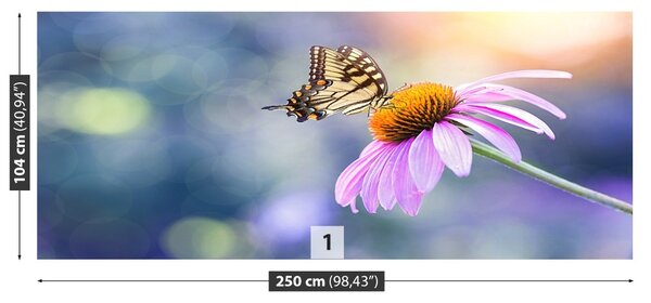 Carta da parati Farfalla echinacea 104x70 cm