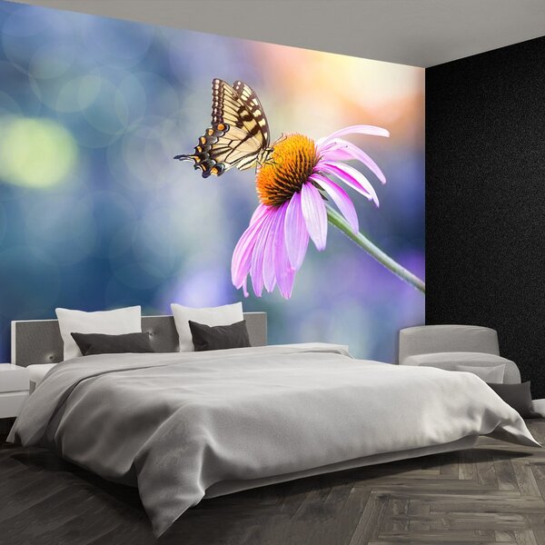 Carta da parati Farfalla echinacea 104x70 cm