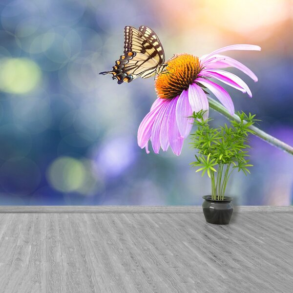 Carta da parati Farfalla echinacea 104x70 cm