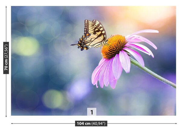 Carta da parati Farfalla echinacea 104x70 cm