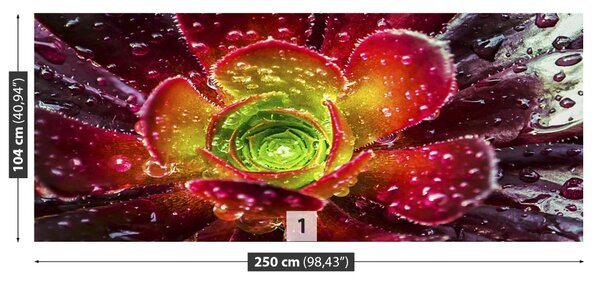 Carta da parati Fiore rosso 104x70 cm