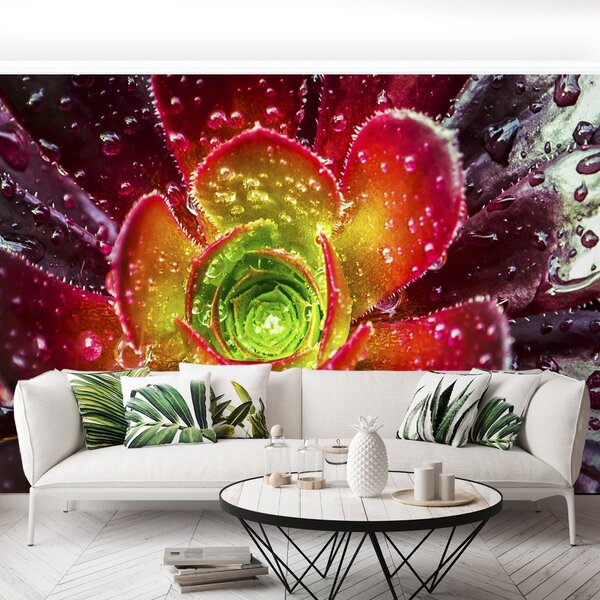 Carta da parati Fiore rosso 104x70 cm