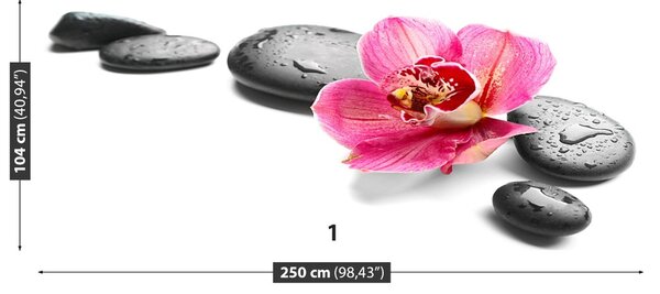 Carta da parati Pietre di orchidee 104x70 cm