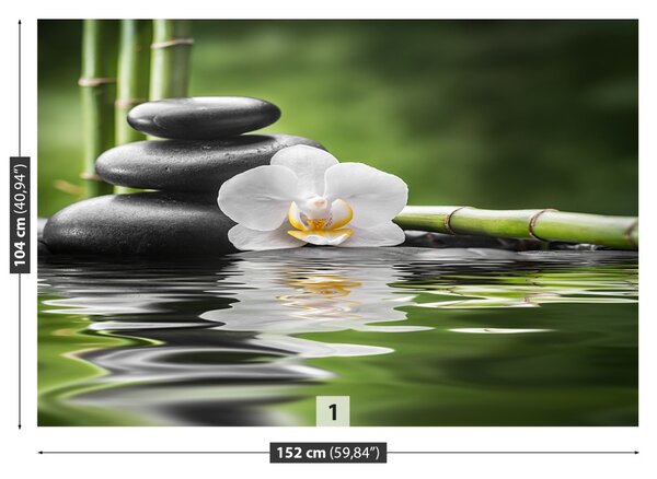 Carta da parati Orchidea e zen 104x70 cm