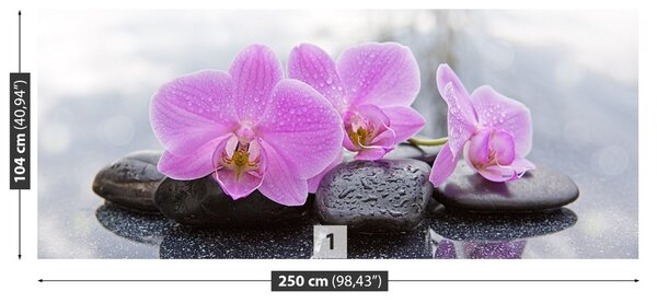 Carta da parati Pietre di orchidee 104x70 cm