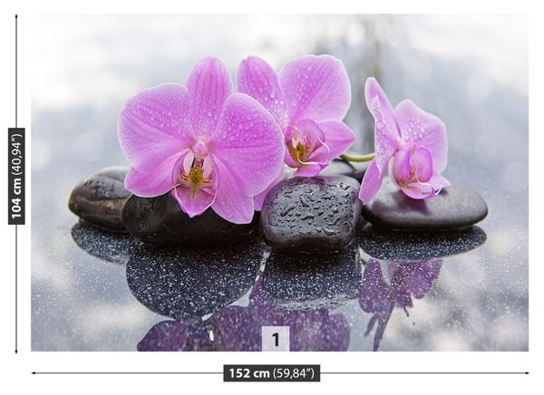 Carta da parati Pietre di orchidee 104x70 cm