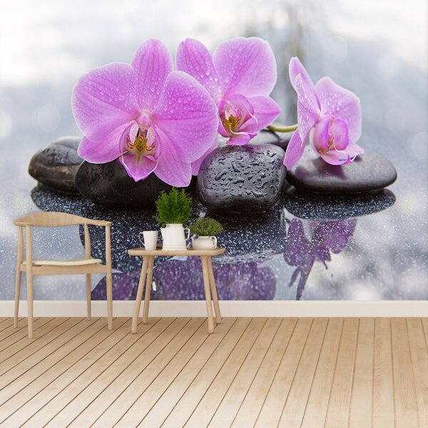 Carta da parati Pietre di orchidee 104x70 cm